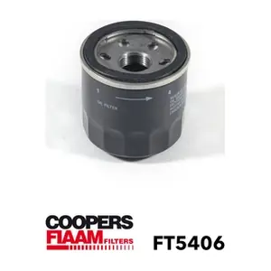 FT5406 CoopersFiaam