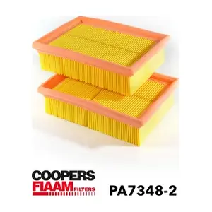 PA73482 CoopersFiaam