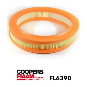 FL6390 CoopersFiaam