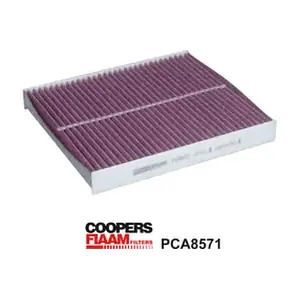 PCA8571 CoopersFiaam
