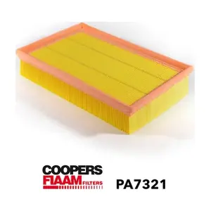 PA7321 CoopersFiaam