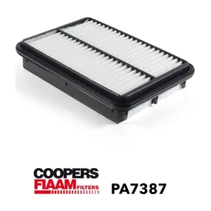 PA7387 CoopersFiaam