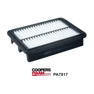 PA7817 CoopersFiaam