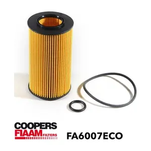 FA6007ECO CoopersFiaam