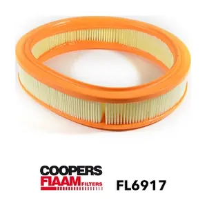 FL6917 CoopersFiaam