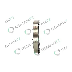 009-001-000210R REMANTE