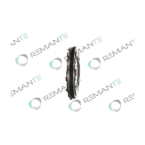 009-001-000213R REMANTE