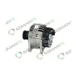 011-003-000369R REMANTE