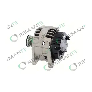 011-003-000221R REMANTE