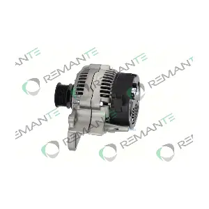 011-003-000005R REMANTE