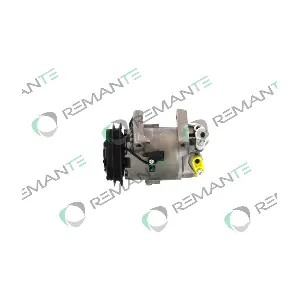 005-001-000289R REMANTE