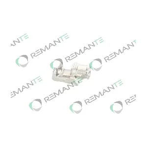 012-001-000702R REMANTE