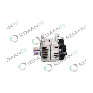 011-003-000393R REMANTE
