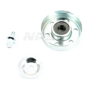 T110A09 NPS