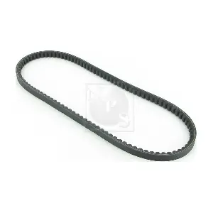 M111I02 NPS
