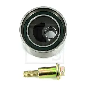 S113U09 NPS