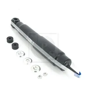 T490A229 NPS