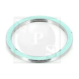 T433A00 NPS