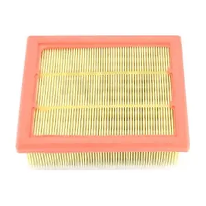 F132T209 NPS