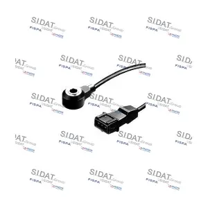 84.005 FISPA