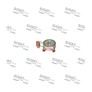 81210 FISPA