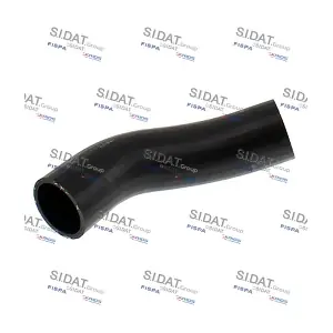 501608 FISPA