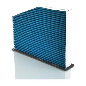 BL613 FISPA