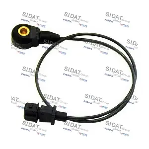 84007 FISPA