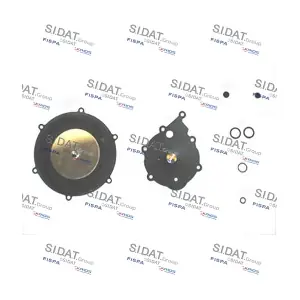 81141 FISPA