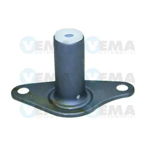 294007 VEMA