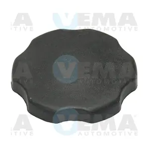 301013 VEMA