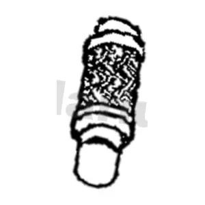 110910 KLARIUS