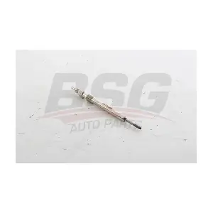 BSG 65-870-012 BSG