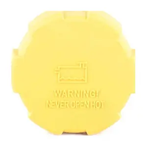 BSG 65-551-004 BSG