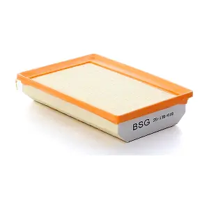 BSG 25-135-018 BSG