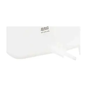BSG 65-550-003 BSG