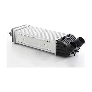 BSG 70-535-010 BSG