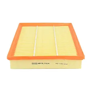 BSG 65-135-012 BSG