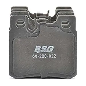 BSG60200022 BSG