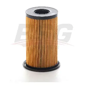 BSG 15-140-010 BSG