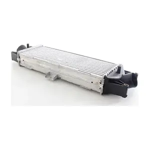 BSG 42-535-001 BSG