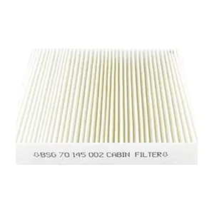 BSG 70-145-002 BSG