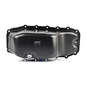 BSG 65-160-005 BSG