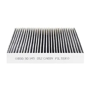 BSG 30-145-012 BSG