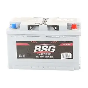 BSG 99-997-021 BSG