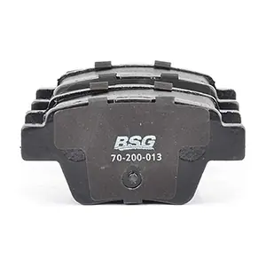 BSG 70-200-013 BSG