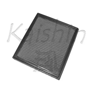 A446 KAISHIN