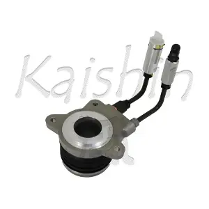 CSCY003K KAISHIN