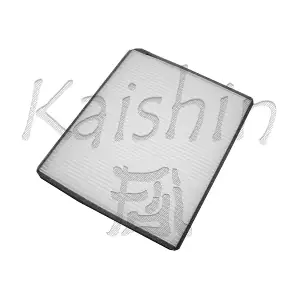 A20038 KAISHIN