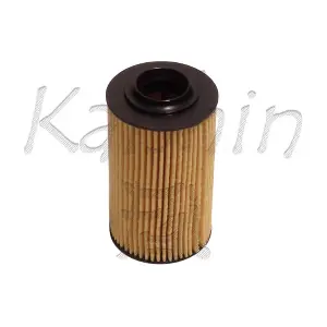 O983 KAISHIN